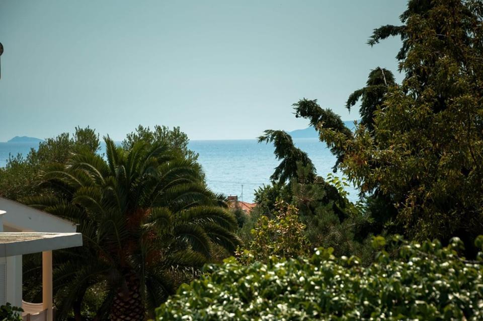 Villa Calypso PalaiónTsiflíkion 外观 照片